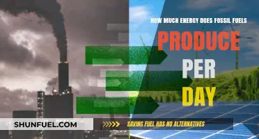 Energy Output of Fossil Fuels: Daily Production Figures