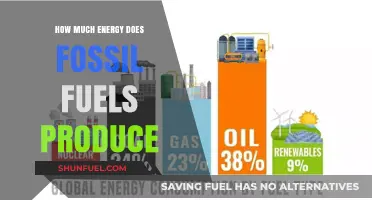 Fossil Fuels: Energy Production and Environmental Impact