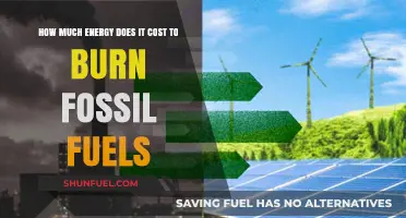 The True Cost of Fossil Fuels: Energy Burned
