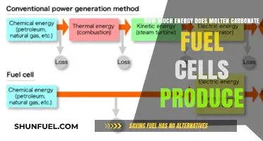 Unlocking the Power Potential: Molten Carbonate Fuel Cells