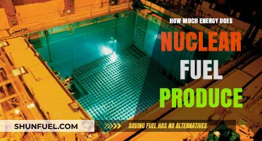 Nuclear Fuel: Energy Production Powerhouses