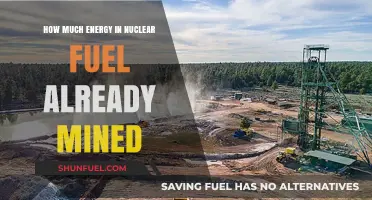 Nuclear Fuel: Energy Potential of Mined Resources