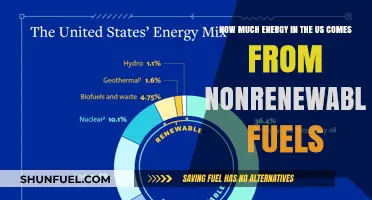 US Energy Sources: Non-Renewable Fuel Proportion