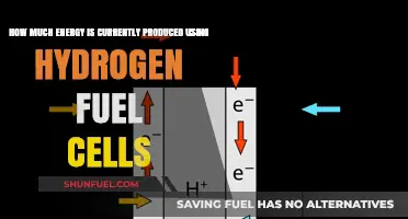Hydrogen Fuel Cells: Current Energy Production and Global Impact