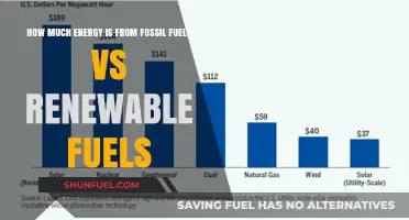 Energy Sources: Fossil Fuels vs Renewables