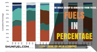Energy Mix: Fossil Fuel's Percentage Share