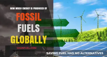 Energy Production: Fossil Fuels' Global Impact