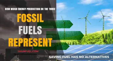 Fossil Fuels: Energy Production Comparison