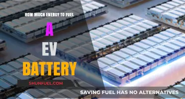 The Energy Behind Electric Vehicles: Powering the Future