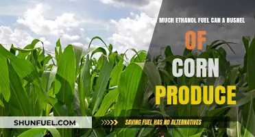 Ethanol Fuel from Corn: How Much Can We Get?