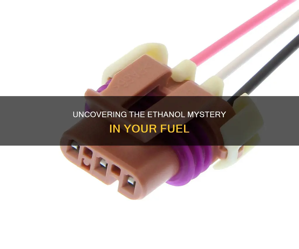 how much ethanol is really in the fuel