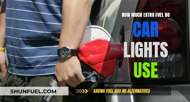 Car Lights: Fuel Consumption and Energy Efficiency