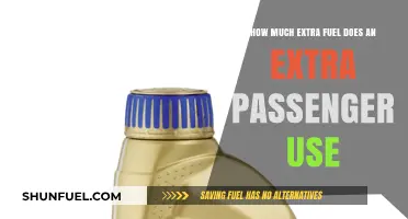 The Cost of Carrying Extra Passengers: Fuel Efficiency Impact