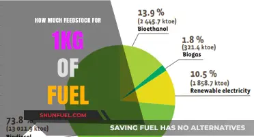 The Amount of Feedstock Required for 1kg of Fuel