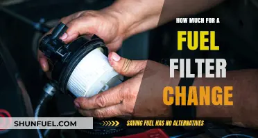 Fuel Filter Change: What's the Cost?
