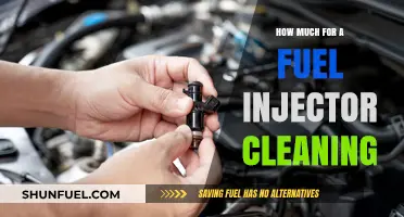 Fuel Injector Cleaning: Cost and Benefits