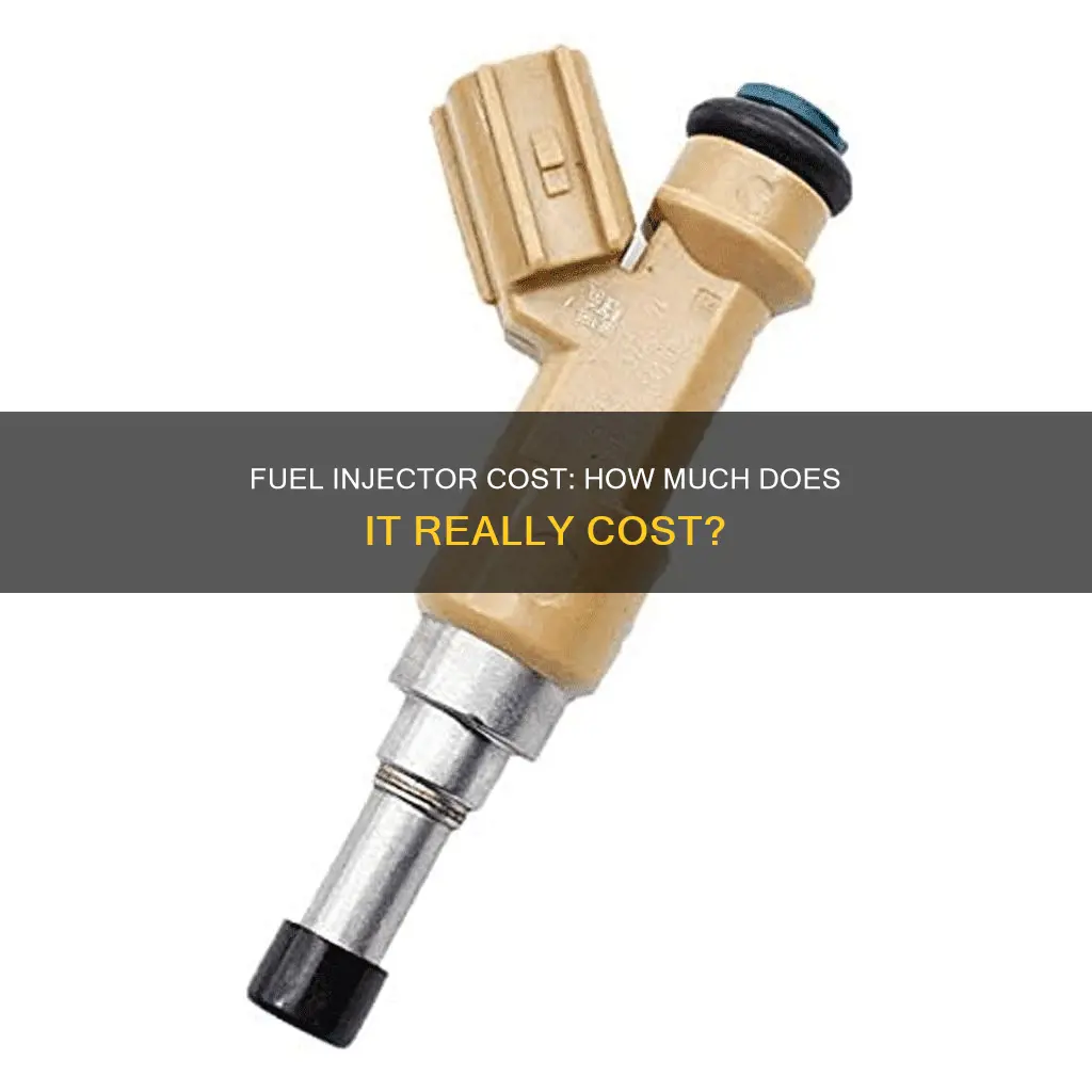 how much for a fuel injector