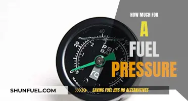 Fuel Pressure Cost: How Much to Spend?