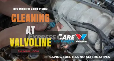 Valvoline Fuel System Cleaning: Cost and Benefits