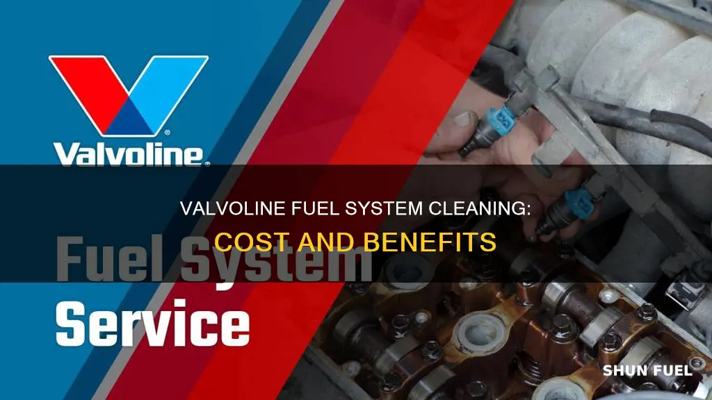 how much for a fuel system cleaning at valvoline