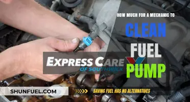 Fuel Pump Cleaning: Cost and Mechanic Expertise