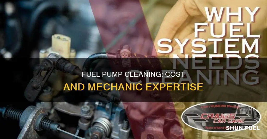 how much for a mechanic to clean fuel pump