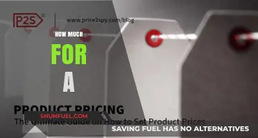 Exploring the Cost: A Comprehensive Guide to Pricing