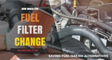 Fuel Filter Change: Cost and When to Change It