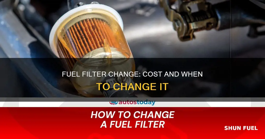 how much for fuel filter change