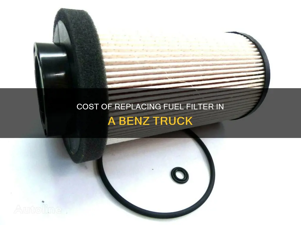 how much for fuel filter on 3500 benz truck