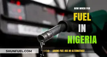 Fuel Costs in Nigeria: A Costly Affair