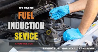 Fuel Induction Service: How Much Does It Cost?