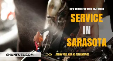 Fuel Injection Service Costs in Sarasota: How Much?