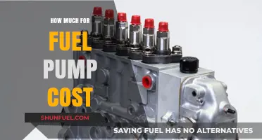Fuel Pump Costs: How Much Should You Budget?