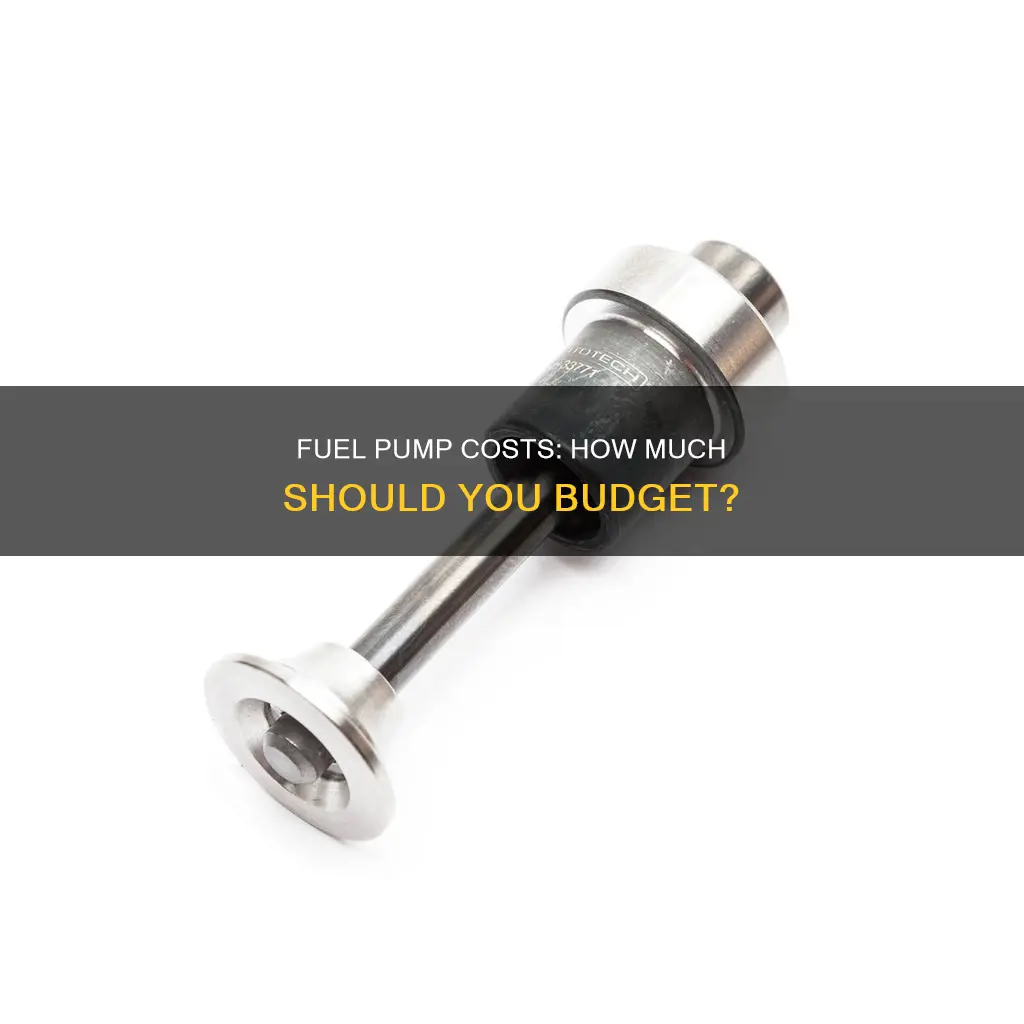how much for fuel pump cost