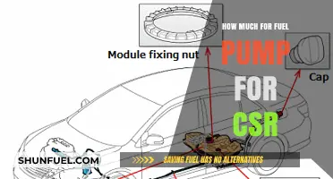 Fuel Pump Replacement Cost for Your CSR