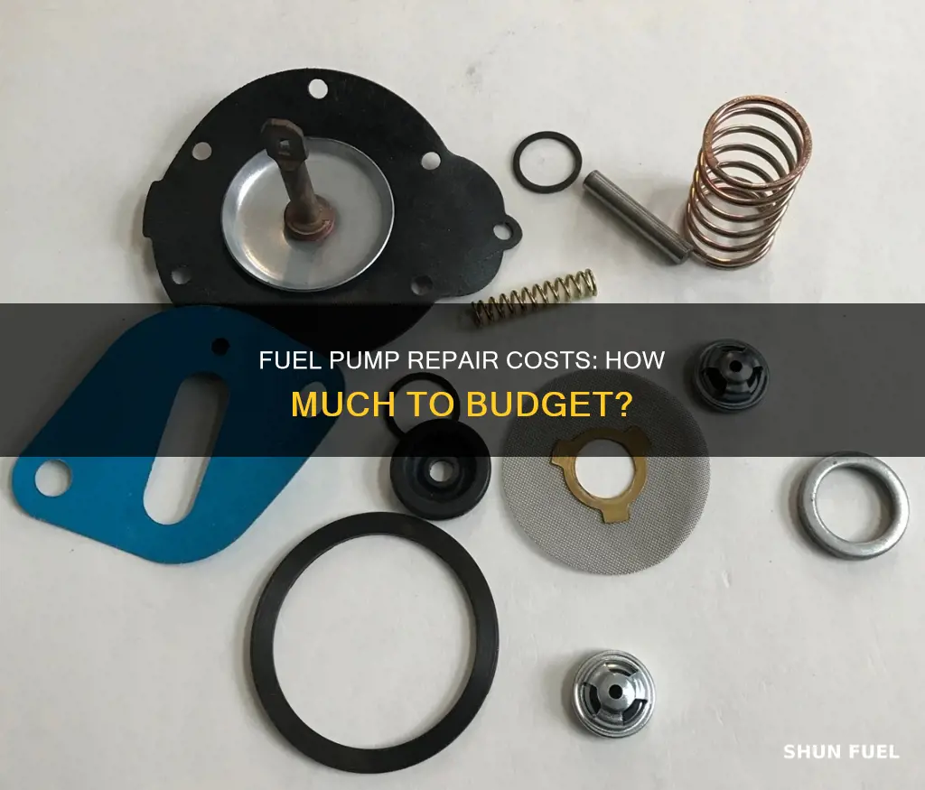 how much for fuel pump repair