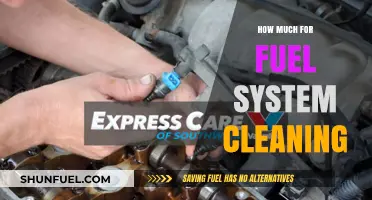 Fuel System Cleaning: Cost and Benefits