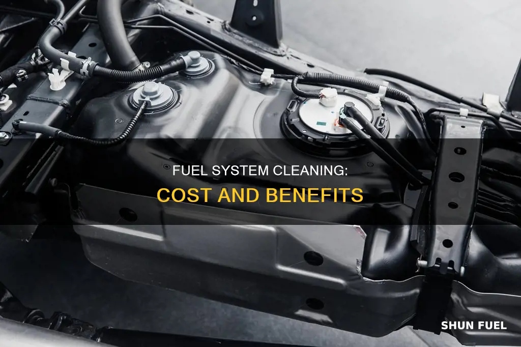 how much for fuel system cleaning