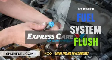 Fuel System Flush: Cost and Benefits
