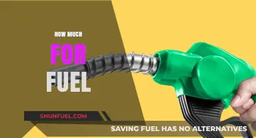 Fuel Costs: How Much Does it Take to Fill Up?