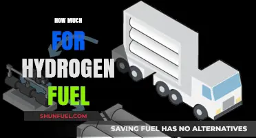 The Cost of Hydrogen Fuel: How Much?