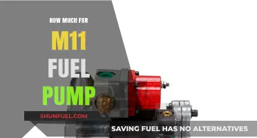 Cost of M11 Fuel Pump Replacement: How Much?