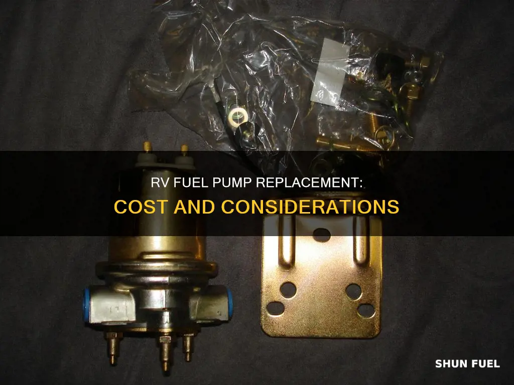 how much for rv fuel pump