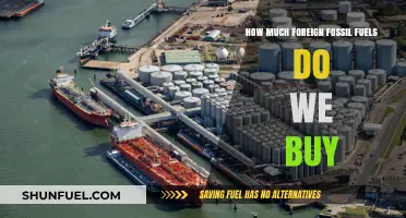 Fossil Fuel Imports: Energy Security or Addiction?