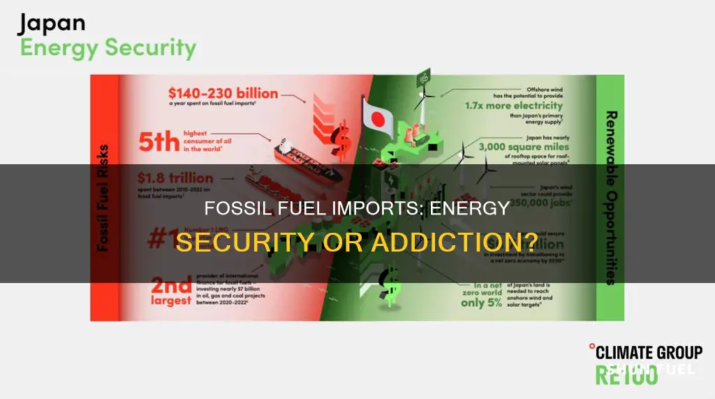 how much foreign fossil fuels do we buy