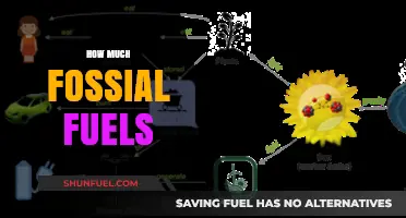 The World's Fossil Fuel Dependence