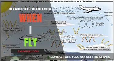 Flying's Fossil Fuel Footprint: What's the Damage?