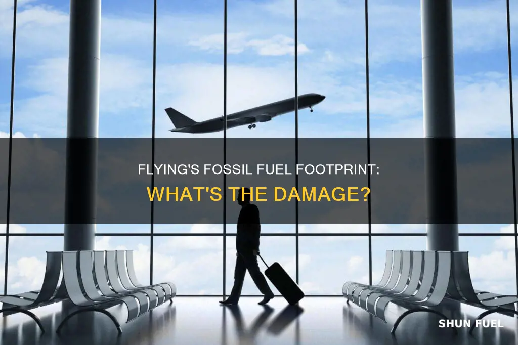 how much fossil fuel am i burning when i fly