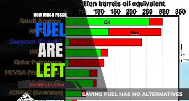The World's Remaining Fossil Fuel Reserves